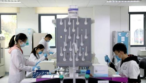 研究生被師哥師姐要求打雜，該說“不”嗎？——新材料技術開發中的成長智慧