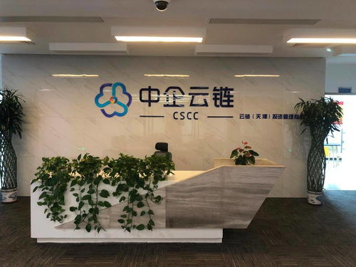 中企云鏈 安心扎根，舒心發(fā)展，創(chuàng)新金融科技服務(wù)與信息技術(shù)咨詢